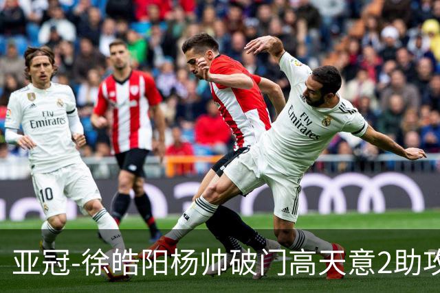 亚冠-徐皓阳杨帅破门高天意2助攻 申花2-1淡滨尼流浪者